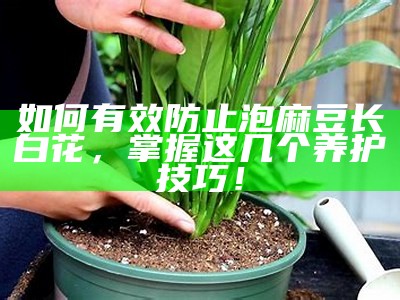 如何有效防止泡麻豆长白花，掌握这几个养护技巧！
